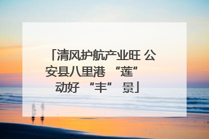 清风护航产业旺 公安县八里港 “莲” 动好 “丰” 景