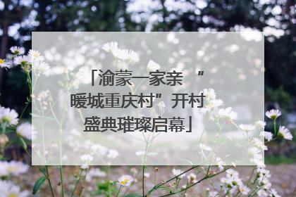渝蒙一家亲 “暖城重庆村”开村盛典璀璨启幕