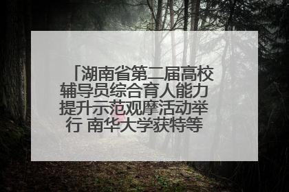 湖南省第二届高校辅导员综合育人能力提升示范观摩活动举行 南华大学获特等奖和一等奖