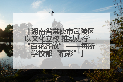 湖南省常德市武陵区以文化立校 推动办学“百花齐放”——每所学校都“精彩”