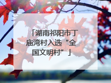 湖南祁阳市丁庙湾村入选“全国文明村”