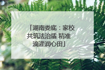 湖南娄底：家校共筑法治盾 精准滴灌润心田