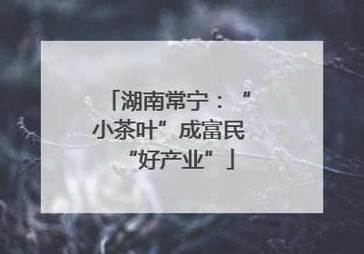 湖南常宁：“小茶叶”成富民“好产业”