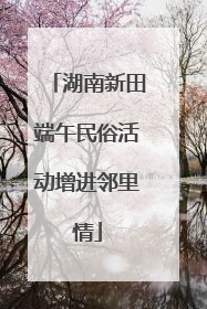 湖南新田端午民俗活动增进邻里情