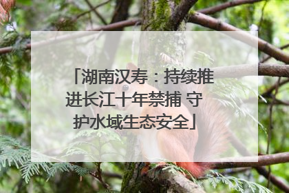 湖南汉寿：持续推进长江十年禁捕 守护水域生态安全