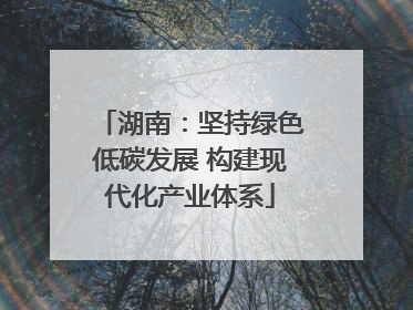 湖南：坚持绿色低碳发展 构建现代化产业体系