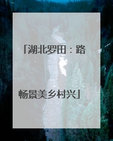 湖北罗田：路畅景美乡村兴
