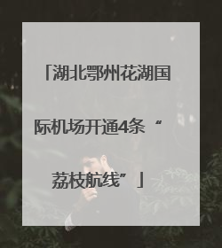 湖北鄂州花湖国际机场开通4条“荔枝航线”