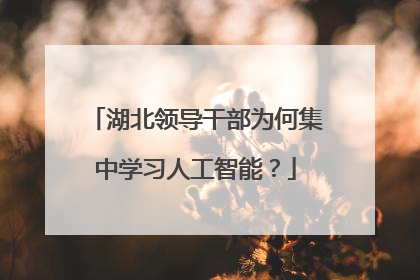 湖北领导干部为何集中学习人工智能？