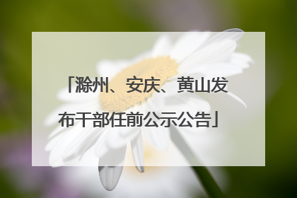 滁州、安庆、黄山发布干部任前公示公告