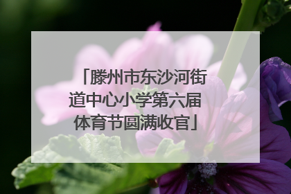 滕州市东沙河街道中心小学第六届体育节圆满收官