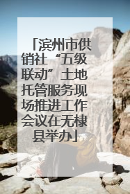 滨州市供销社“五级联动”土地托管服务现场推进工作会议在无棣县举办