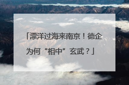 漂洋过海来南京！德企为何“相中”玄武？