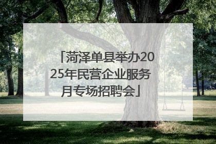 菏泽单县举办2025年民营企业服务月专场招聘会