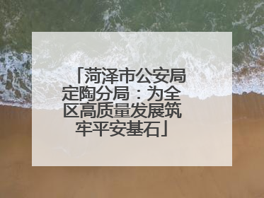 菏泽市公安局定陶分局：为全区高质量发展筑牢平安基石