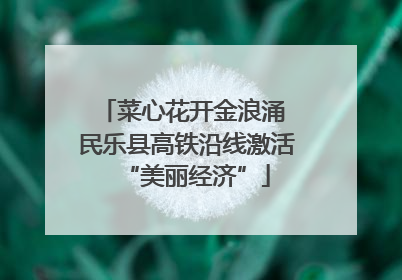 菜心花开金浪涌 民乐县高铁沿线激活“美丽经济”
