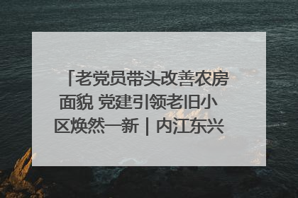 老党员带头改善农房面貌 党建引领老旧小区焕然一新｜内江东兴“红”在哪？④