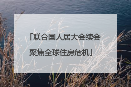 联合国人居大会续会聚焦全球住房危机
