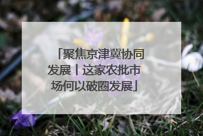 聚焦京津冀协同发展丨这家农批市场何以破圈发展