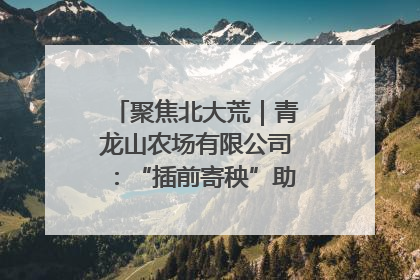 聚焦北大荒｜青龙山农场有限公司：“插前寄秧”助力农业节本增效