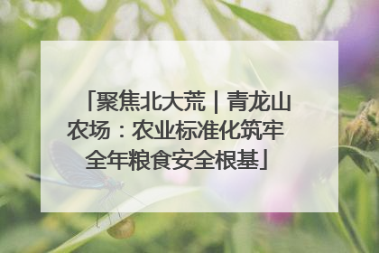 聚焦北大荒｜青龙山农场：农业标准化筑牢全年粮食安全根基