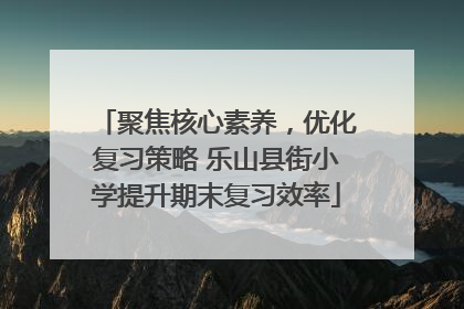 聚焦核心素养，优化复习策略 乐山县街小学提升期末复习效率