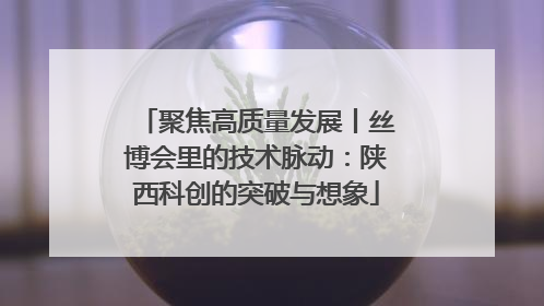 聚焦高质量发展丨丝博会里的技术脉动：陕西科创的突破与想象