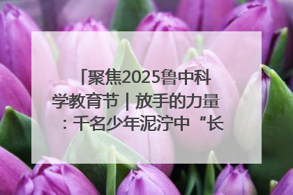 聚焦2025鲁中科学教育节｜放手的力量：千名少年泥泞中“长出勇敢翅膀”