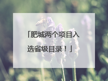 肥城两个项目入选省级目录！
