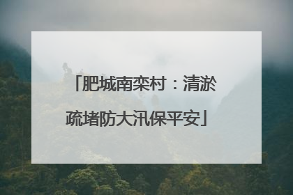 肥城南栾村：清淤疏堵防大汛保平安