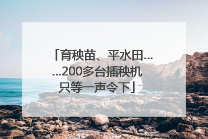 育秧苗、平水田……200多台插秧机只等一声令下