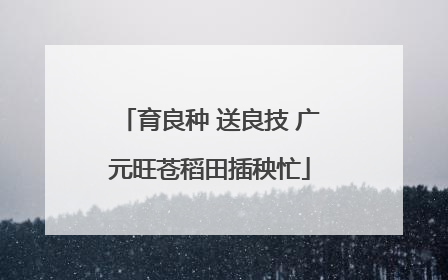 育良种 送良技 广元旺苍稻田插秧忙