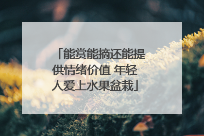 能赏能摘还能提供情绪价值 年轻人爱上水果盆栽