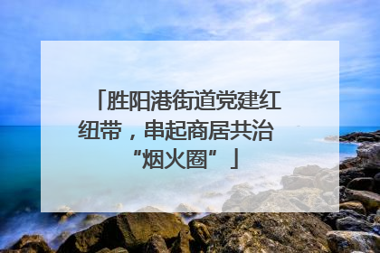 胜阳港街道党建红纽带，串起商居共治 “烟火圈”