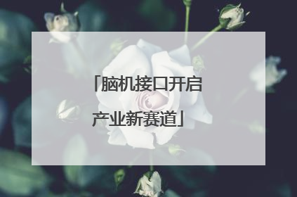 脑机接口开启产业新赛道