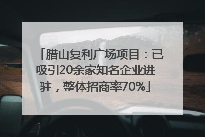 腊山复利广场项目：已吸引20余家知名企业进驻，整体招商率70%