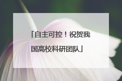 自主可控！祝贺我国高校科研团队
