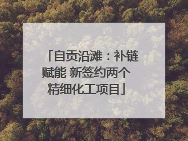 自贡沿滩：补链赋能 新签约两个精细化工项目