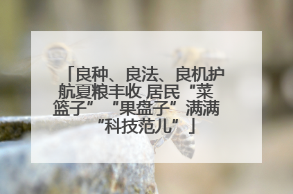良种、良法、良机护航夏粮丰收 居民“菜篮子”“果盘子”满满“科技范儿”