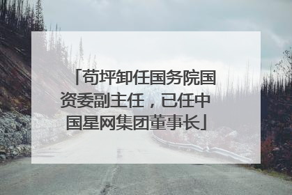 苟坪卸任国务院国资委副主任，已任中国星网集团董事长