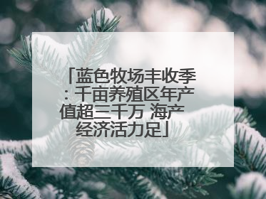 蓝色牧场丰收季：千亩养殖区年产值超三千万 海产经济活力足