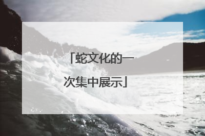 蛇文化的一次集中展示