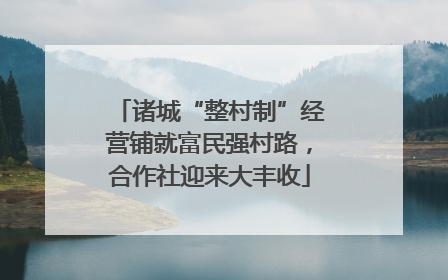诸城“整村制”经营铺就富民强村路，合作社迎来大丰收