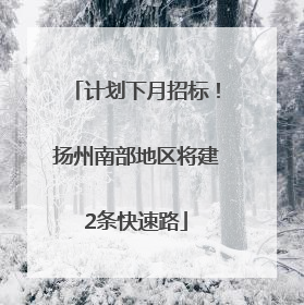 计划下月招标！扬州南部地区将建2条快速路