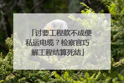 讨要工程款不成便私运电缆？检察官巧解工程结算死结