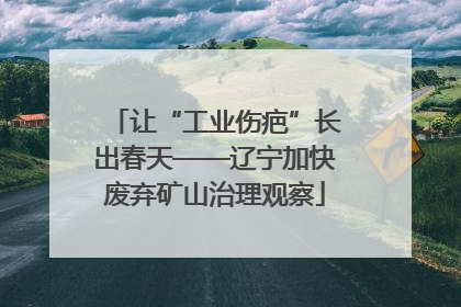 让“工业伤疤”长出春天——辽宁加快废弃矿山治理观察