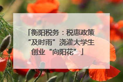 衡阳税务：税惠政策“及时雨”浇灌大学生创业“向阳花”