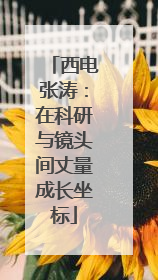 西电张涛：在科研与镜头间丈量成长坐标