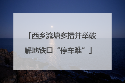 西乡流塘多措并举破解地铁口“停车难”