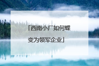 西南小厂如何蝶变为领军企业